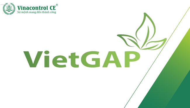 Chứng nhận VietGAP
